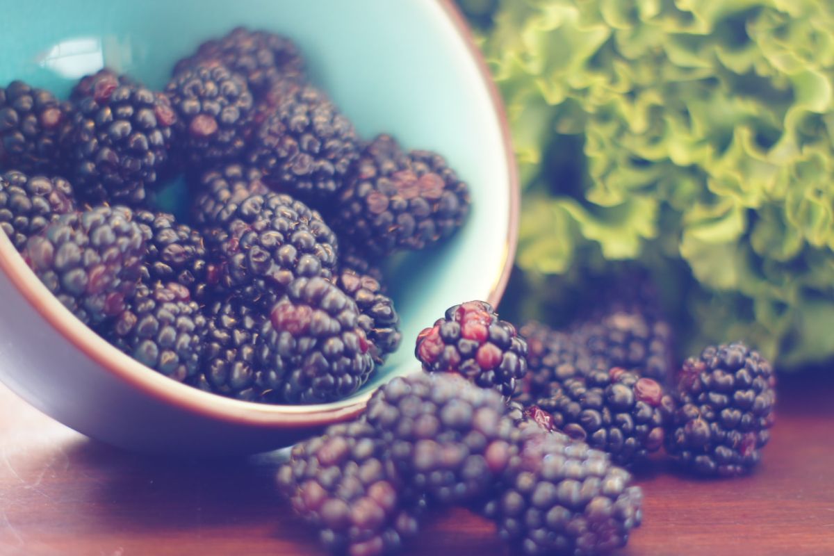 5 Reasons Why Acai Berry is Great for Skin Complexion